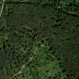 Satellite imagery of Fürstenstand, AT