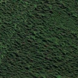 Satellite imagery of Bonanza Gulch Mine, US