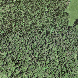 Satellite imagery of Chem·de·la·Dame.Chemin·de·la·Maison·DesBois  <—, CH