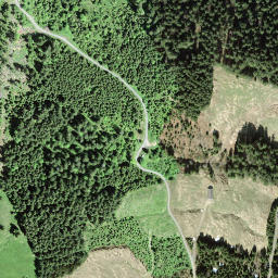 Satellite imagery of Gribschegg, CH