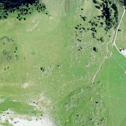 Satellite imagery of Wisstschingel, CH