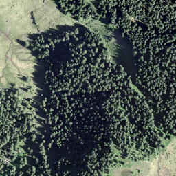 Satellite imagery of Gross Güslen, CH