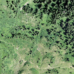 Satellite imagery of Uschafetta, CH
