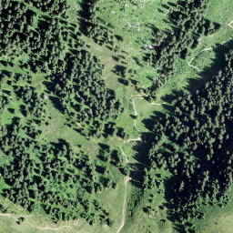Satellite imagery of Uschafetta, CH
