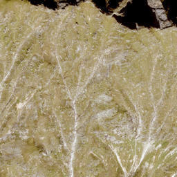 Satellite imagery of Palfnersee Kogel, AT