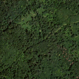 Satellite imagery of Fürstenstand, AT