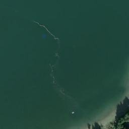Satellite imagery of Shell Point, US
