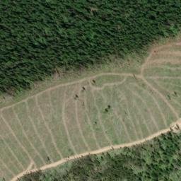 Satellite imagery of Golden Sunset Mine, US