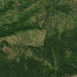 Satellite imagery of Grassy Point, CA