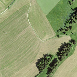 Satellite imagery of Mont Jaques, CH