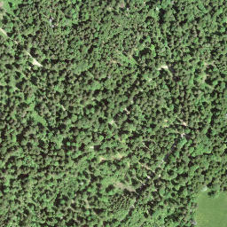 Satellite imagery of Chemin·des·Chênes.Chemin·du·Bas <—, CH