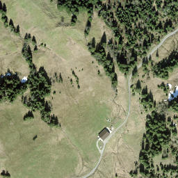 Satellite imagery of Steineggen, CH