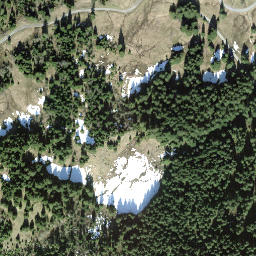 Satellite imagery of Steineggen, CH