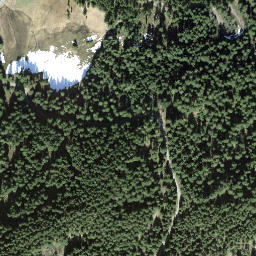 Satellite imagery of Steineggen, CH