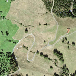 Satellite imagery of Gribschegg, CH