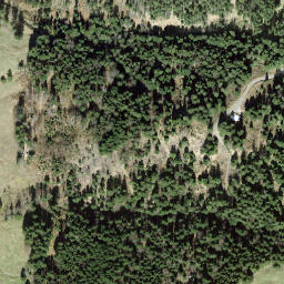 Satellite imagery of Gämschspitz, CH