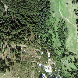 Satellite imagery of Gämschspitz, CH