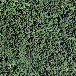 Satellite imagery of Grosser Mutzenstein, CH