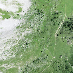 Satellite imagery of Wisstschingel, CH