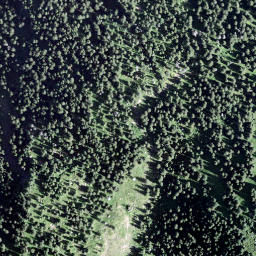 Satellite imagery of Fohrenegg, CH