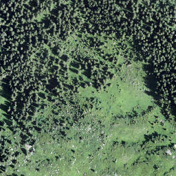 Satellite imagery of Fohrenegg, CH