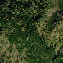 Satellite imagery of Schwarzenberg, AT