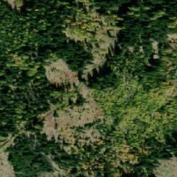 Satellite imagery of Schwarzenberg, AT