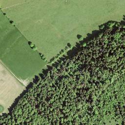 Satellite imagery of La Motte, CH