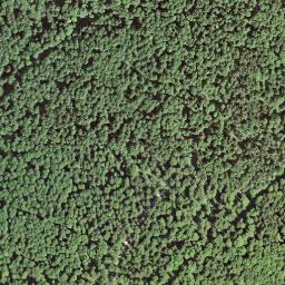 Satellite imagery of Le Grand Chaumont, CH