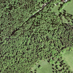 Satellite imagery of Le Grand Chaumont, CH