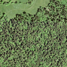 Satellite imagery of Chem·de·la·Dame.Chemin·de·la·Maison·DesBois  <—, CH