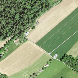 Satellite imagery of RC1854.LANDERON.LIGNIERES, CH