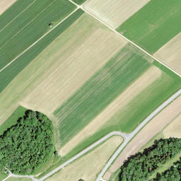Satellite imagery of RC1854.LANDERON.LIGNIERES, CH