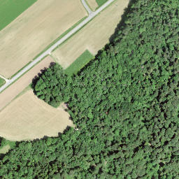 Satellite imagery of RC1854.LANDERON.LIGNIERES, CH