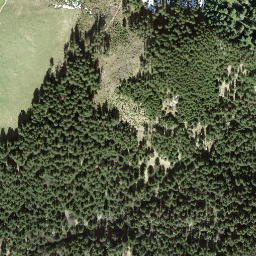 Satellite imagery of Chopf, CH