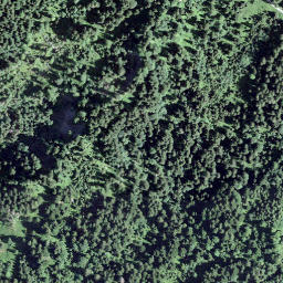 Satellite imagery of Hängstenhorn, CH