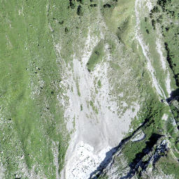 Satellite imagery of Rautispitz, CH