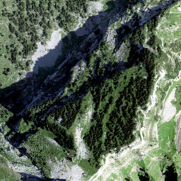 Satellite imagery of Rautispitz, CH