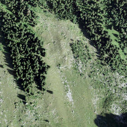 Satellite imagery of Mittagstöckli, CH