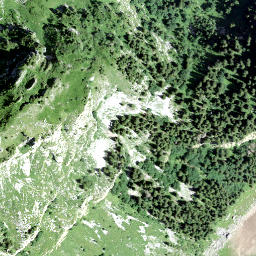 Satellite imagery of Schijenstock, CH