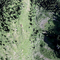 Satellite imagery of Munzchopf, CH