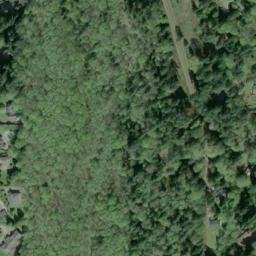 Satellite imagery of Shell Point, US