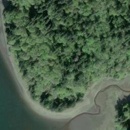 Satellite imagery of Priest Point, US