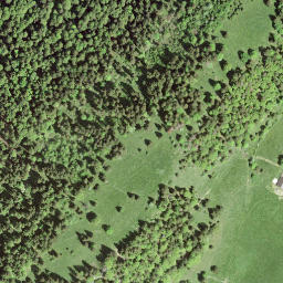 Satellite imagery of Petite Corbatière, CH