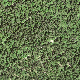 Satellite imagery of Chemin·des·Plattes.Chemin·de·La·Dame <—, CH