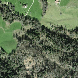 Satellite imagery of Mülimas Egg, CH