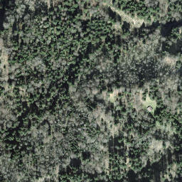 Satellite imagery of Schwändistock, CH