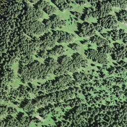 Satellite imagery of Spillmettlen, CH
