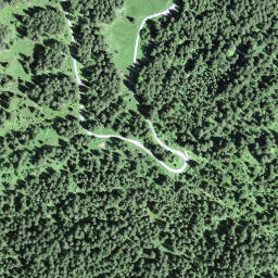 Satellite imagery of Steineggen, CH