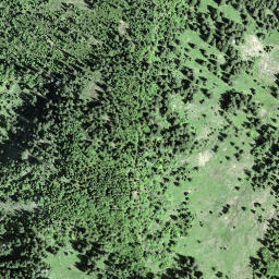 Satellite imagery of Horn, CH